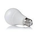 Ampoule LED A65 E27 15W Plastique Lumière Blanche Naturelle