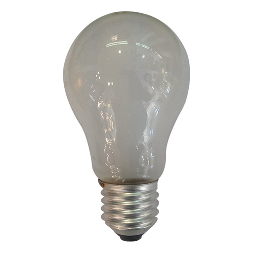 [FSLA55] Ampoule LED 75W E27 Lumière Blanche
